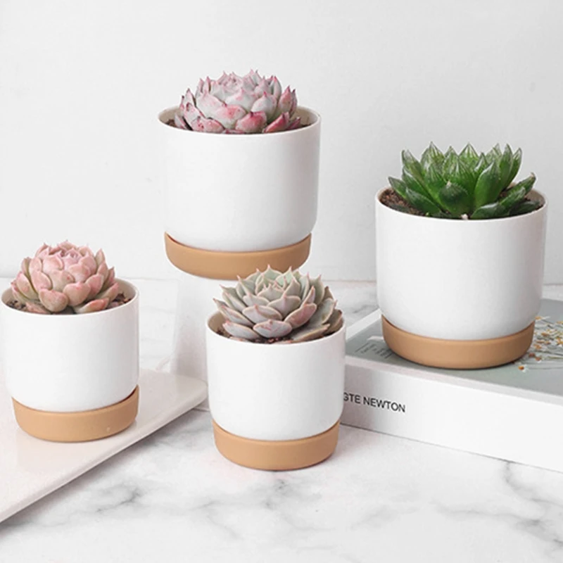 Bungalow band Evolve Alb mic ghiveci ceramic mini-containere de flori de interior cu orificiu de  scurgere pentru suculente sau cactus -mari/mici vanzare < Home & Garden \  Bivoli.ro